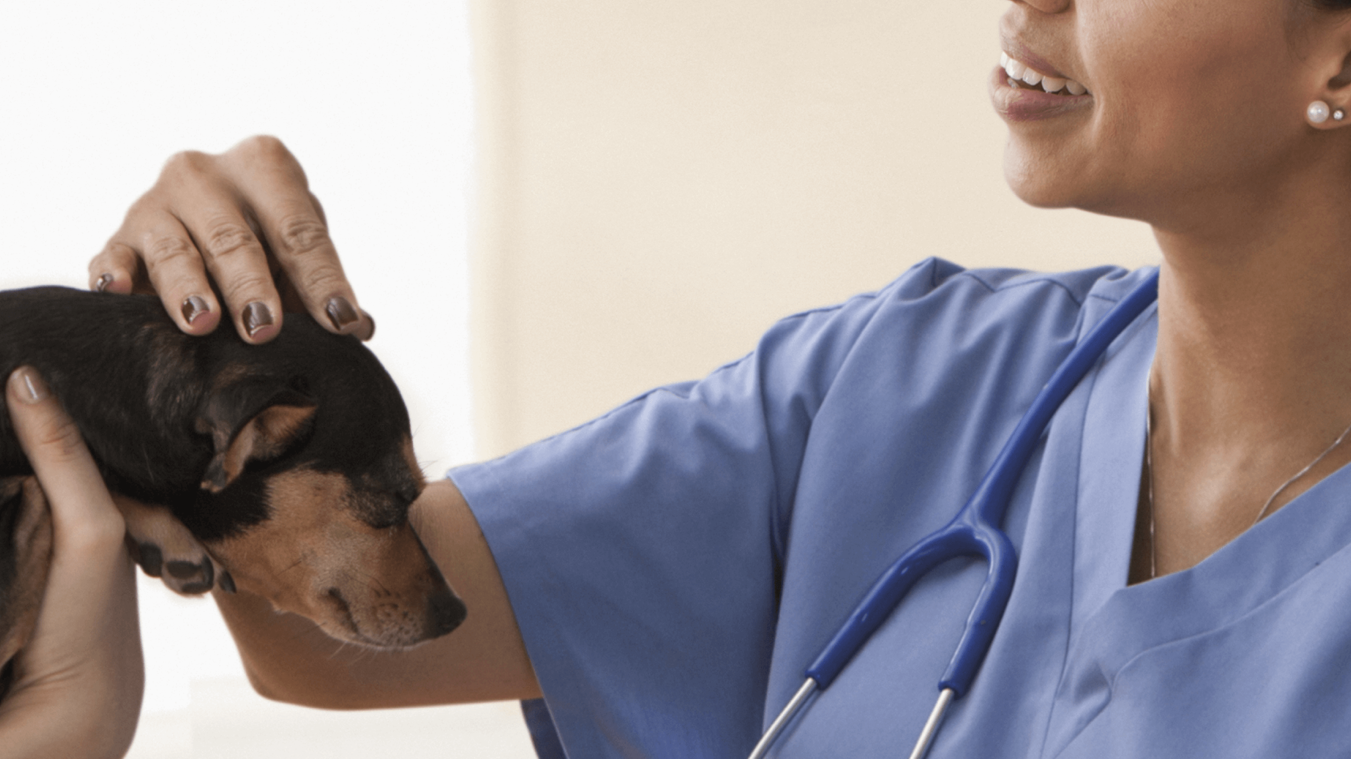 AMAH-AssociationContreLaMaltraitanceAnimaleEtHumaine-QuiSommesNous
