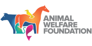 AMAH-AssociationContreLaMaltraitanceAnimaleEtHumaine-AnimalWelfareFoundation