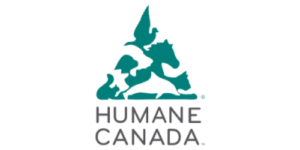 AMAH-AssociationContreLaMaltraitanceAnimaleEtHumaine-HumaneCanada