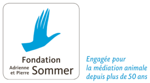 Logo Fondation Adrienne Pierre Sommer 2024