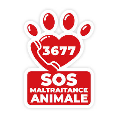 Amah Associationcontrelamaltraitanceanimaleethumaine Violent Mon Maitre Logos Numeros Urgence Sos Maltraitance Animale 3677